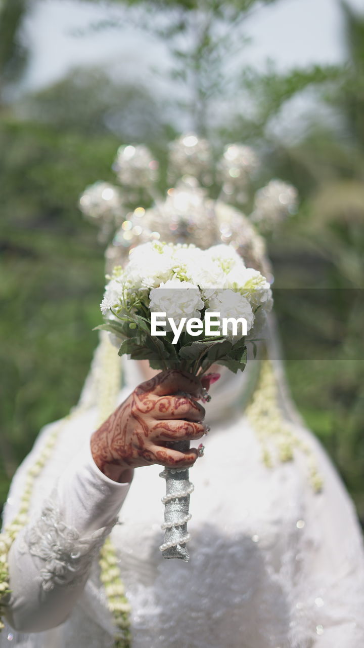 Close-up of hand holding white flowering plant