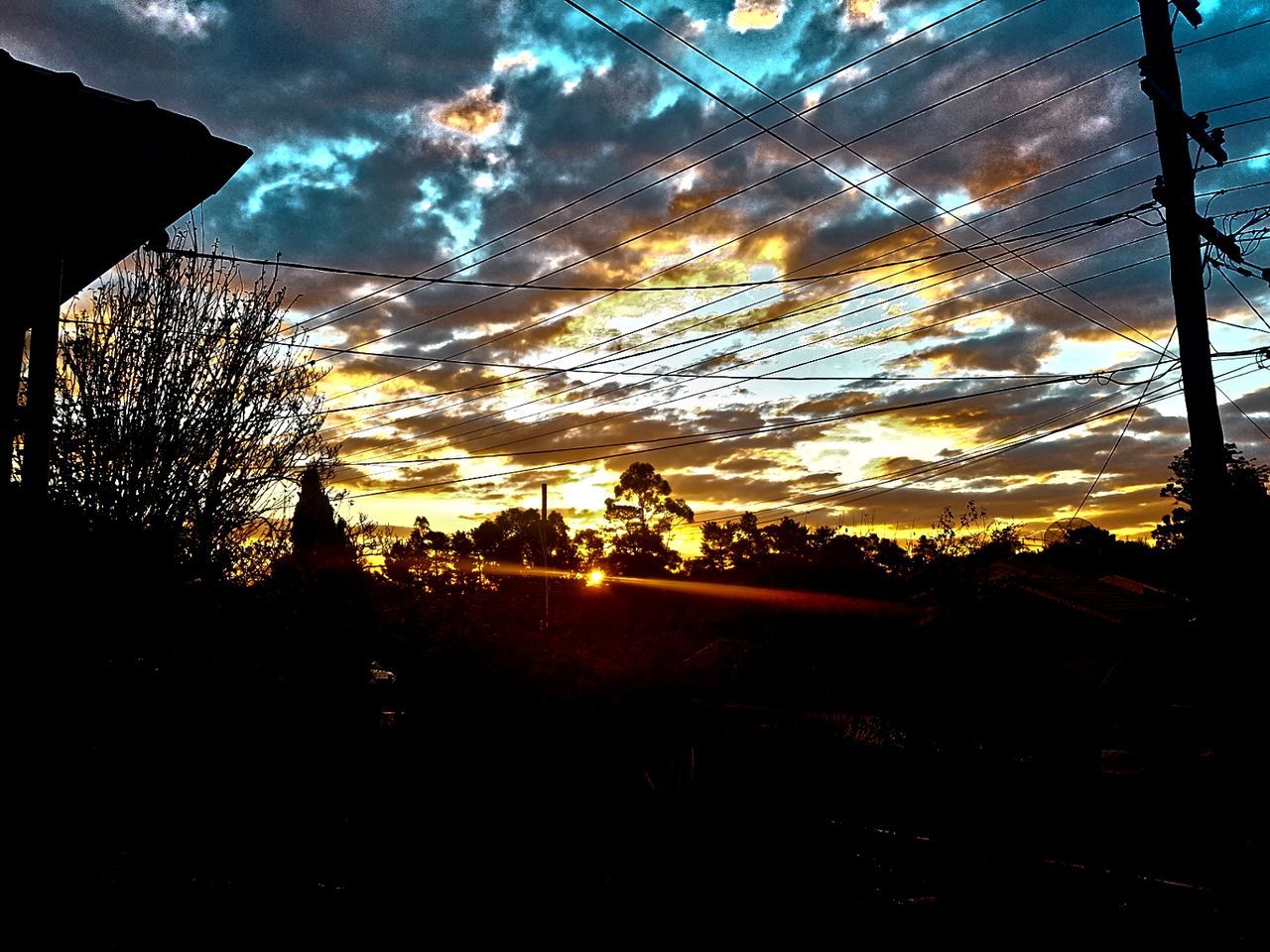 LOW ANGLE VIEW OF TREES AT SUNSET