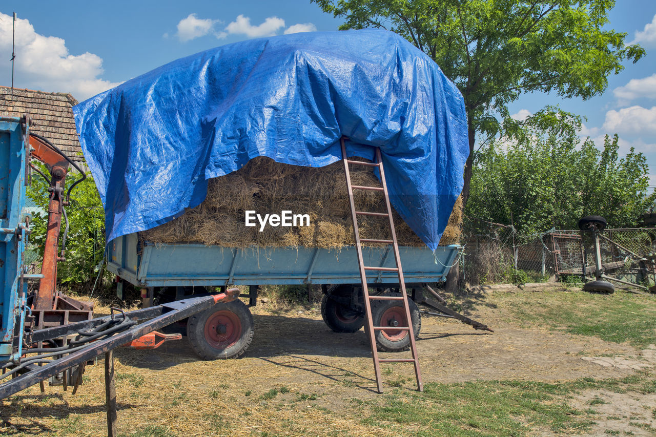 Village yard with a trailer loaded with hay. hay is needed to feed the cattle on the farm. 