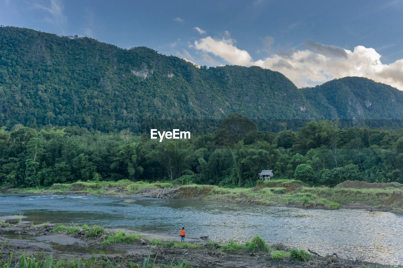 SCENIC VIEW OF RIVER AMIDST TREES AGAINST SKY