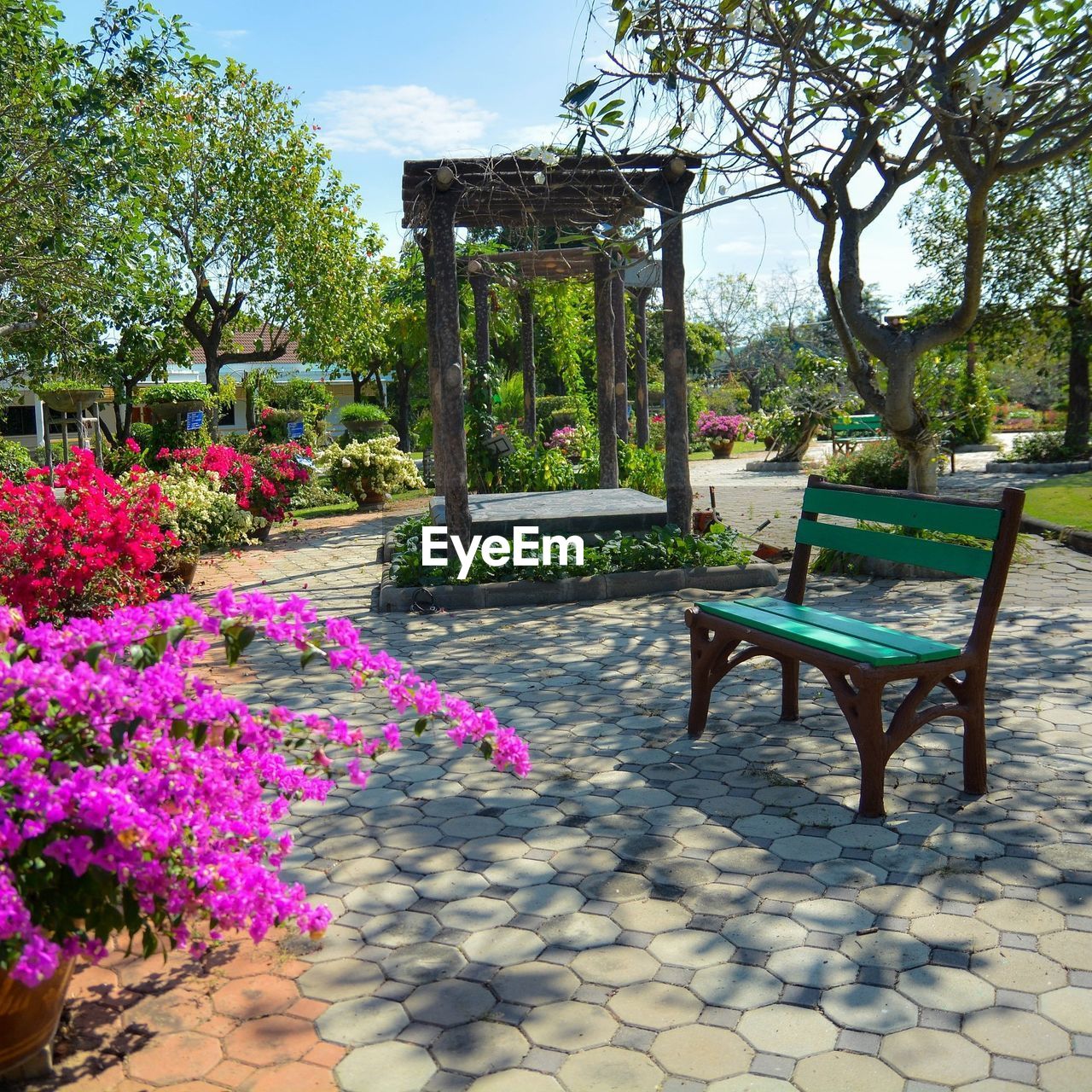 CHAIRS AND TABLE BY TREES IN PARK