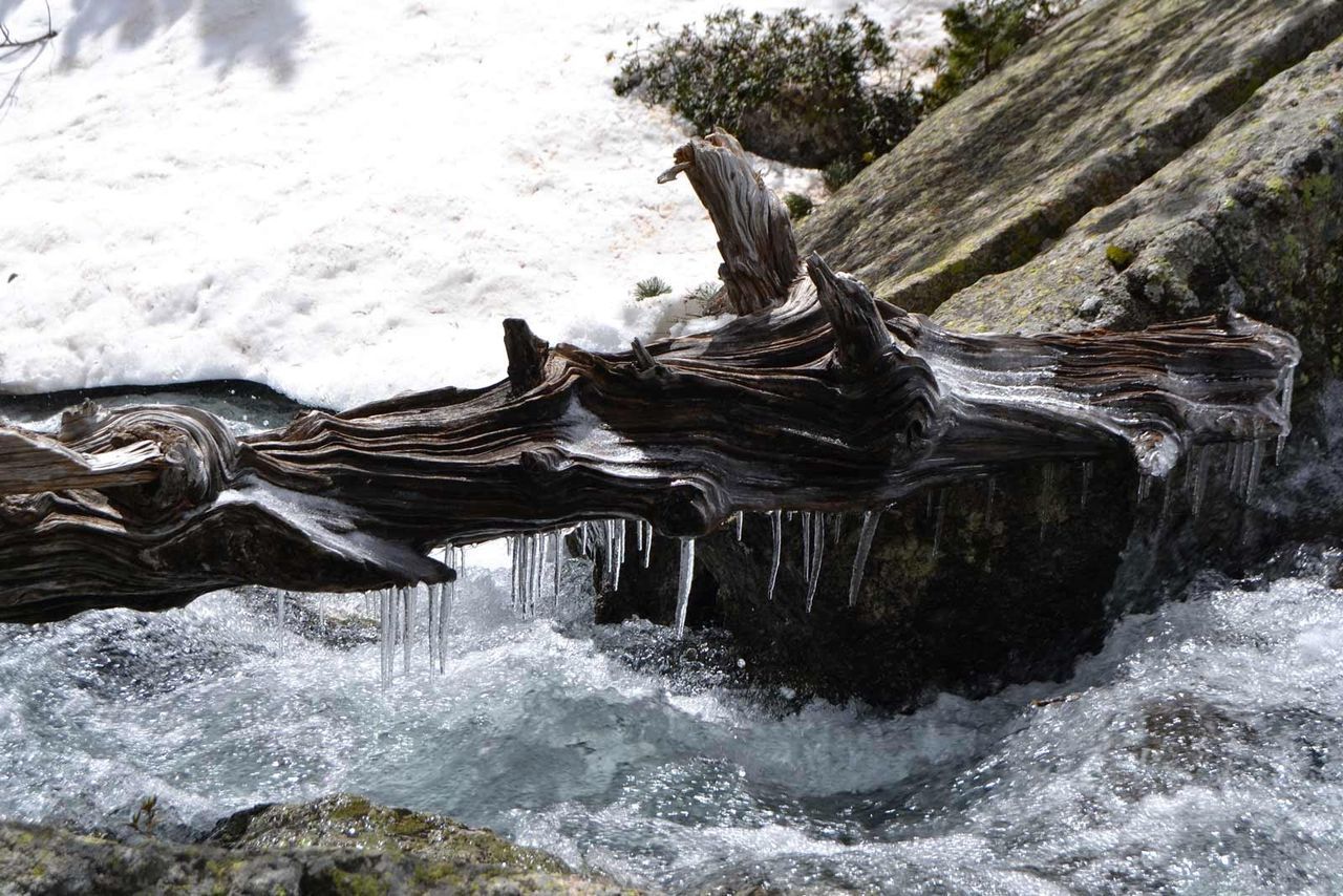 Icicles on bark above frozen river