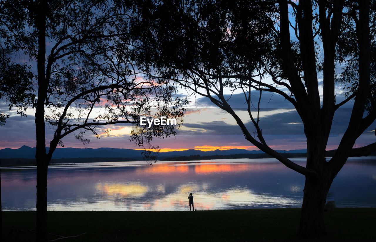 Silhouette tree by lake against sky during sunset