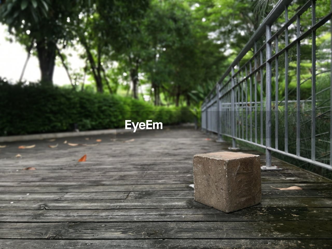 A little lonely cube sitting in a park