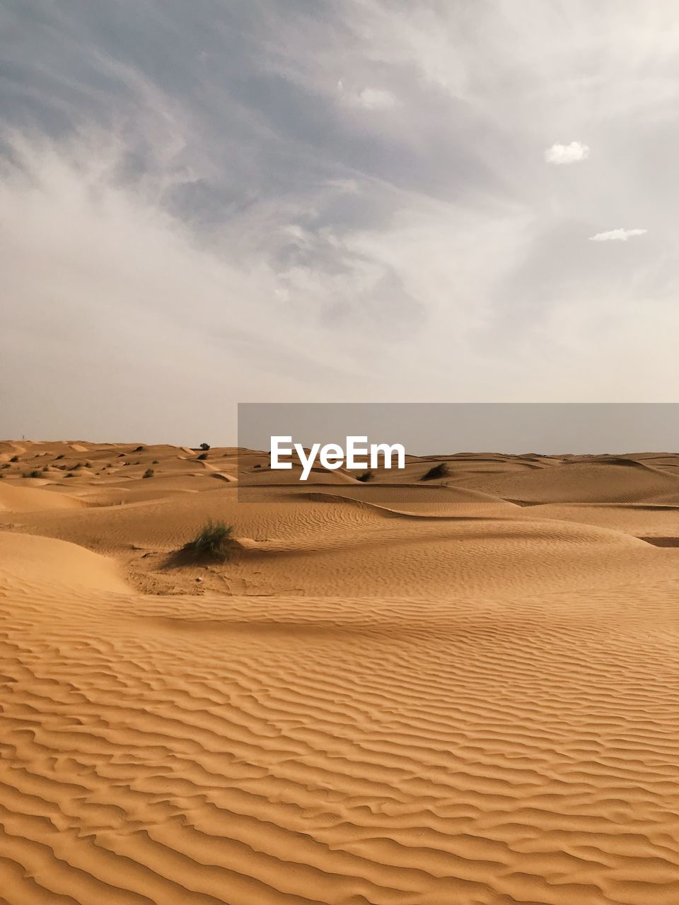 Sand dune in desert against sky