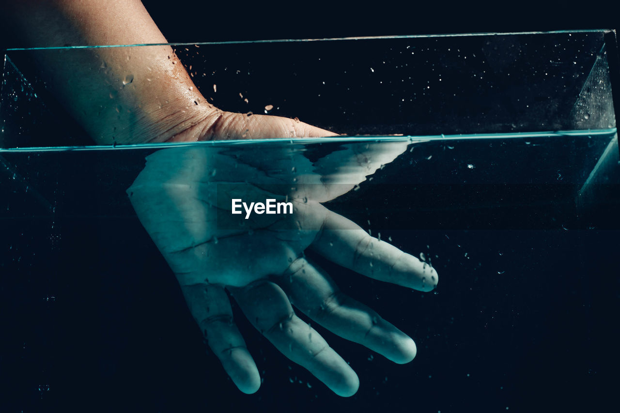 Close-up of hand