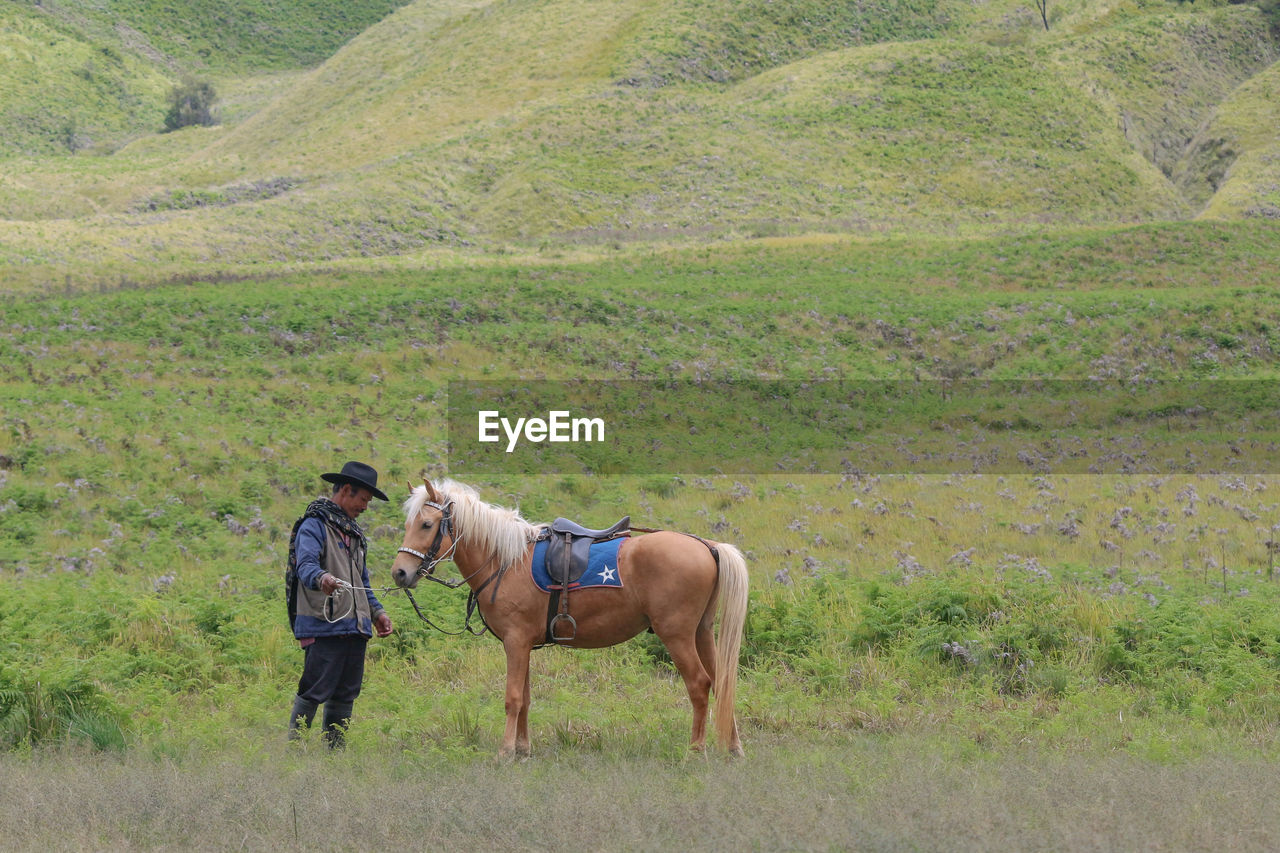 REAR VIEW OF PEOPLE AND DOG ON FARM