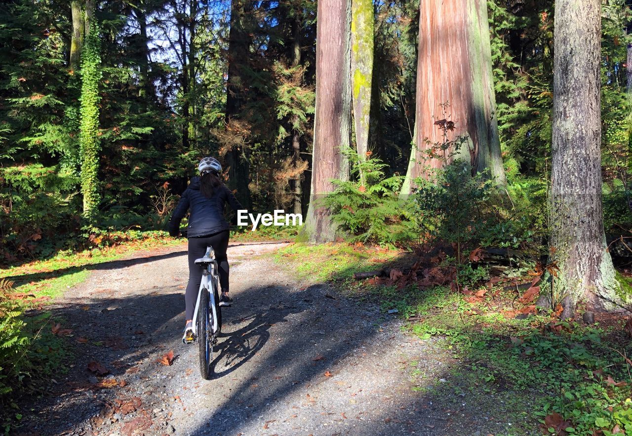 FULL LENGTH OF MAN RIDING BICYCLE ON TREE TRUNK