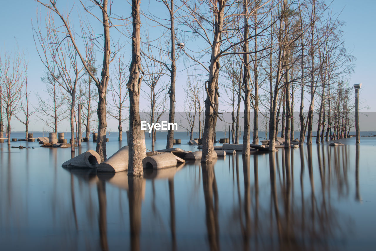 Panoramic view of bare trees in lake against sky water reflections