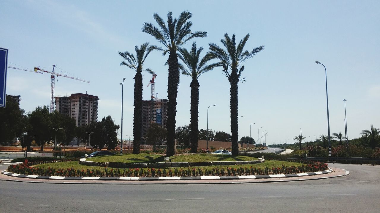 Palm trees on traffic circle against sky