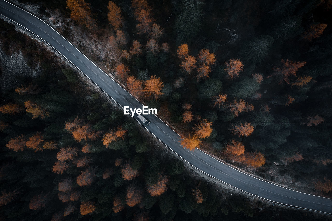 HIGH ANGLE VIEW OF ROAD AMIDST TREES IN FOREST