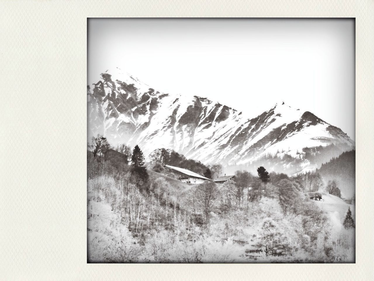 Trees on field and snowcapped mountains against clear sky