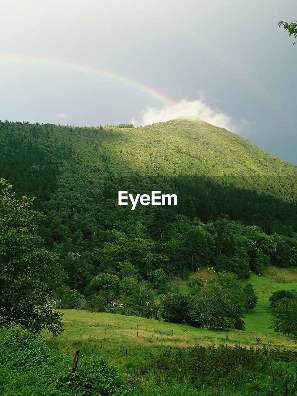 SCENIC VIEW OF GREEN LANDSCAPE AGAINST RAINBOW