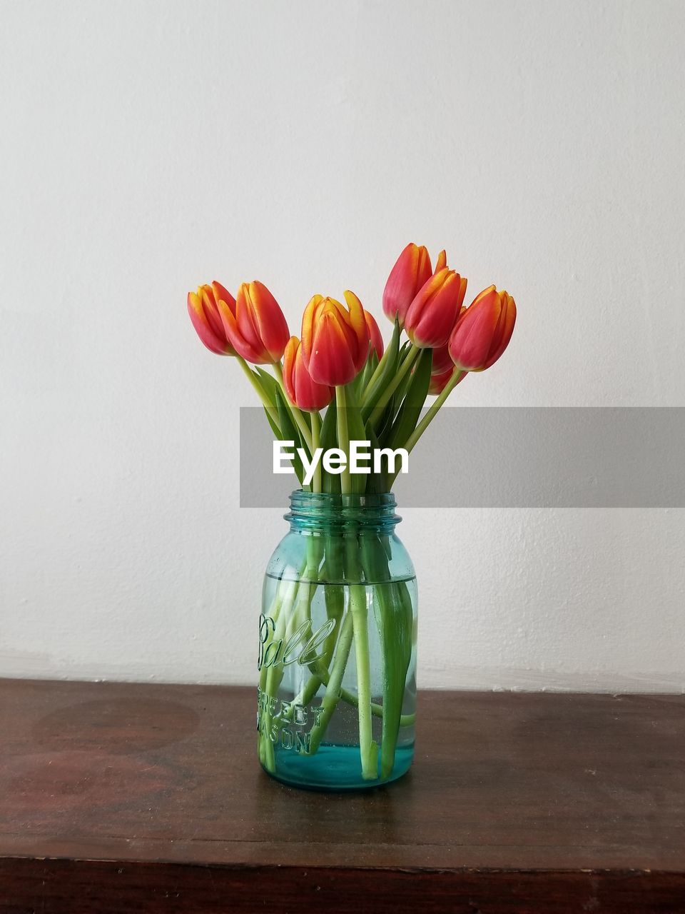 CLOSE-UP OF TULIP IN VASE