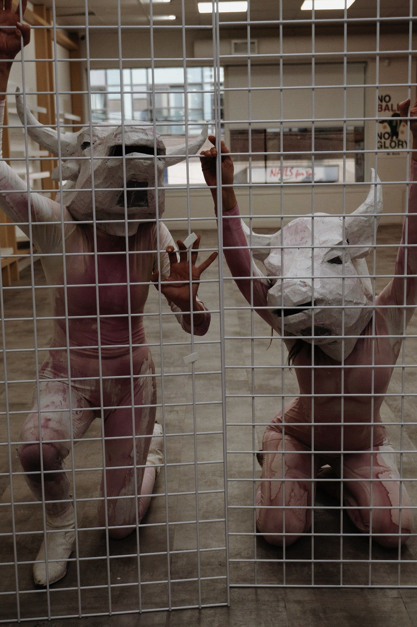 animal themes, animal, mammal, art, animal shelter, pet, group of animals, cage, no people, indoors, domestic animals, animals in captivity, trapped, livestock, dog, animal wildlife