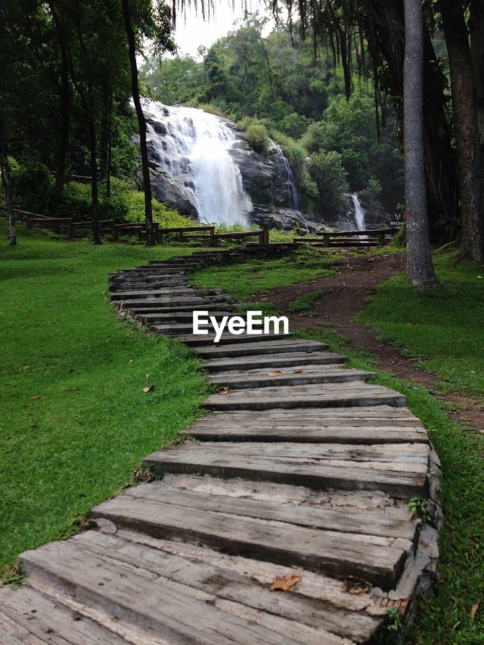 Pathway leading waterfall in forest