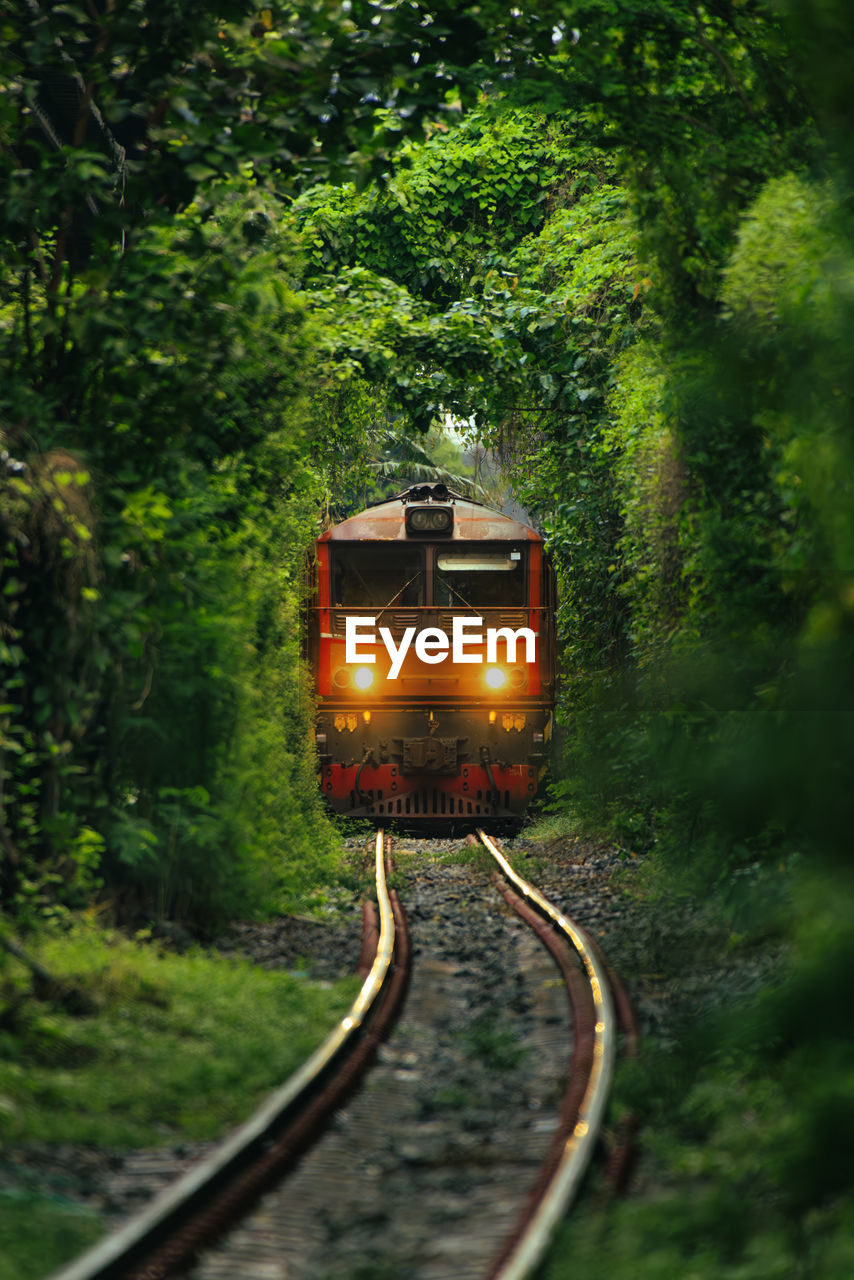 railroad tracks