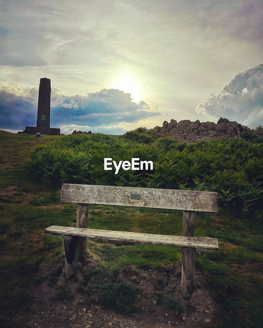 BENCH IN PARK BY TREES AGAINST SKY