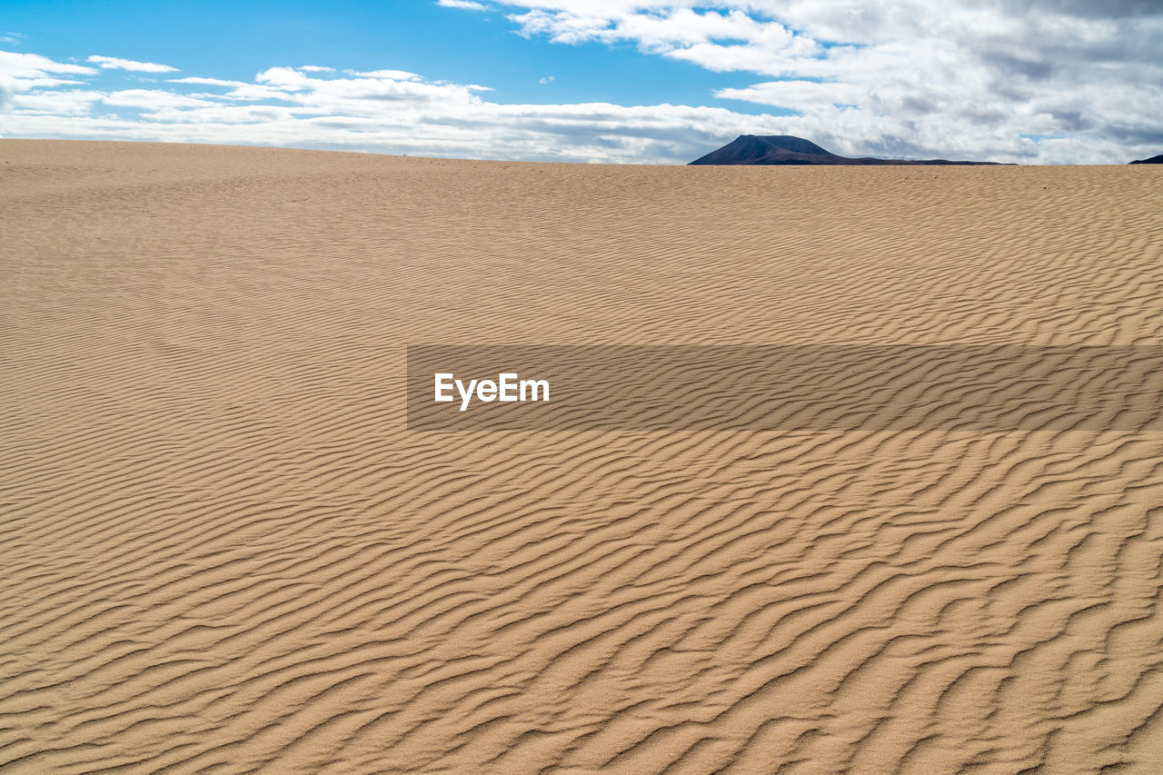 land, sand, landscape, sand dune, environment, sky, desert, scenics - nature, erg, climate, cloud, nature, beauty in nature, arid climate, animal wildlife, accidents and disasters, travel, dry, travel destinations, tourism, tranquility, animal, non-urban scene, no people, pattern, outdoors, hill, animal themes, semi-arid, sunlight, horizon, bone, horizon over land, extreme terrain, urban skyline, singing sand, dramatic sky, day, drought, summer, tropical climate, natural environment, blue, safari, solitude, dune, beach, sunny, tranquil scene, backgrounds, adventure, loneliness, remote, holiday, igniting, natural phenomenon, rippled, water, vacation, trip, orange color