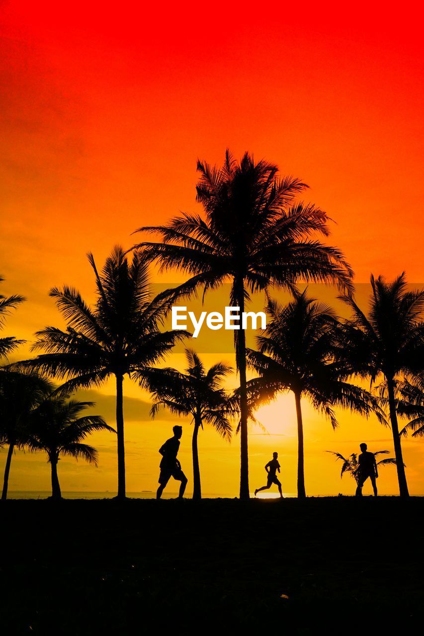 Silhouette people by palm tree against orange sky