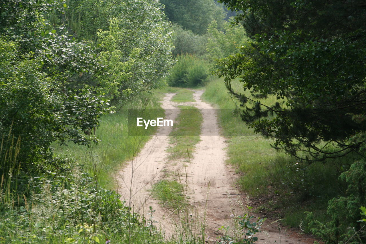 TRAIL ALONG ROAD