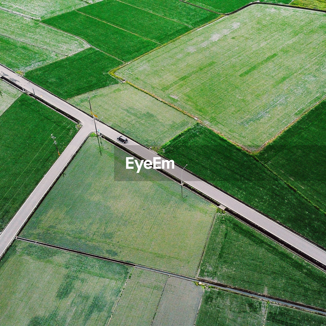 Scenic view of agricultural field