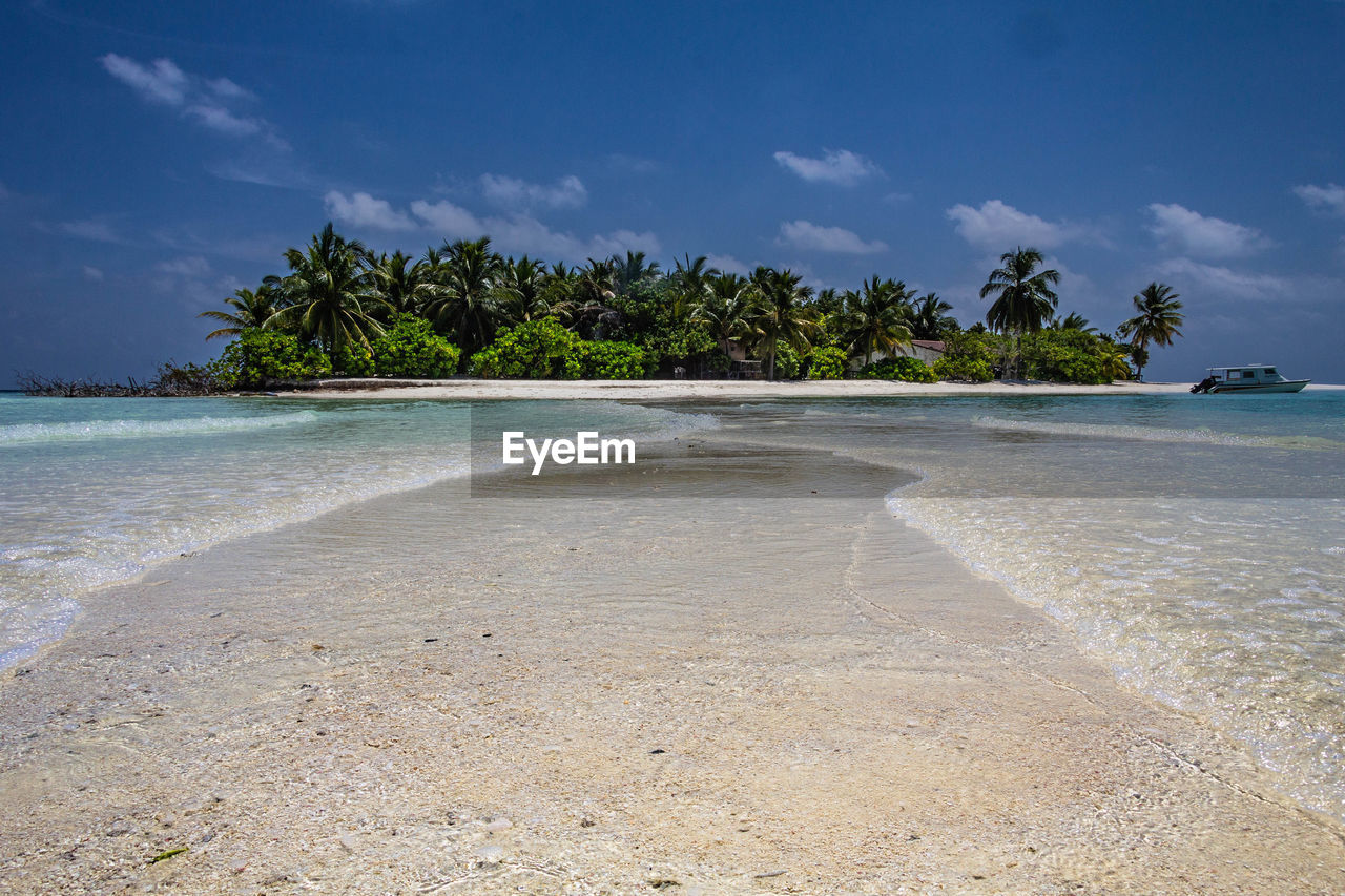 Scenic view of beach against sky