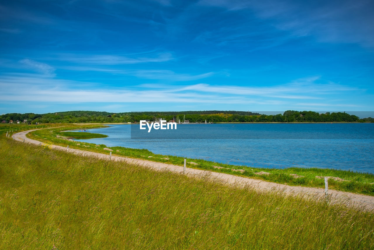 SCENIC VIEW OF GRASSY FIELD AGAINST BLUE SKY