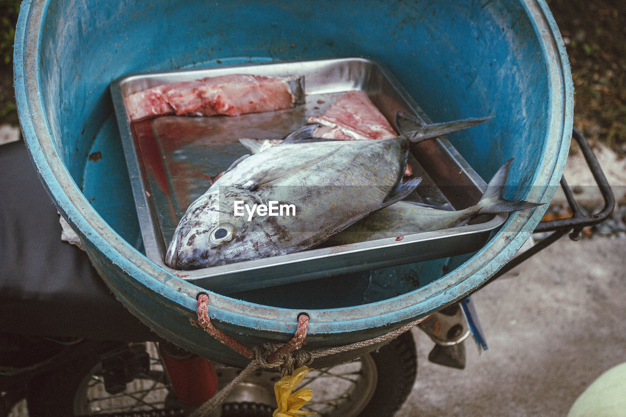 High angle view of fish in bucket on motorcycle