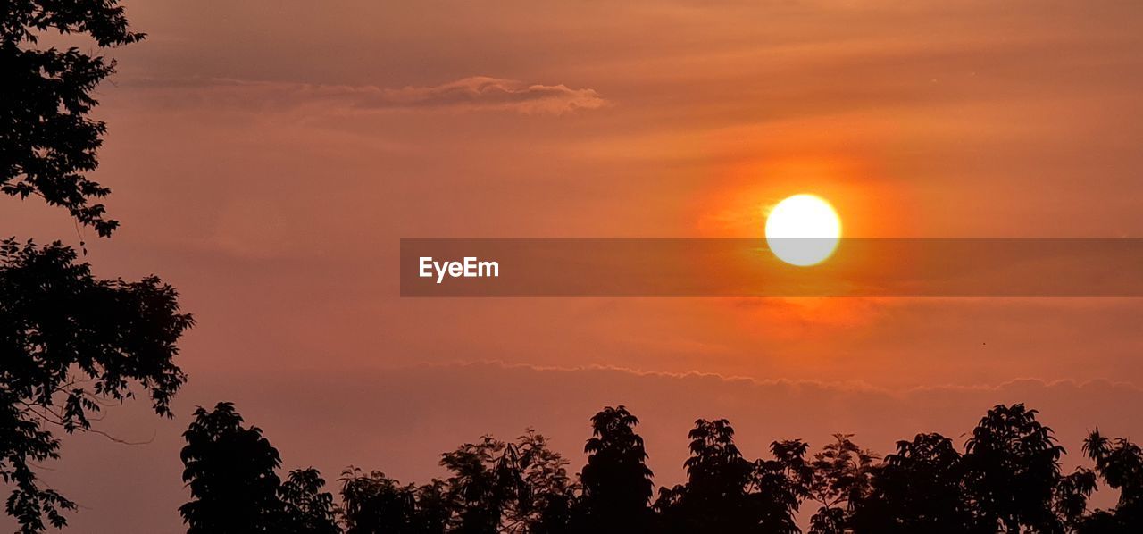 Low angle view of silhouette trees against romantic sky