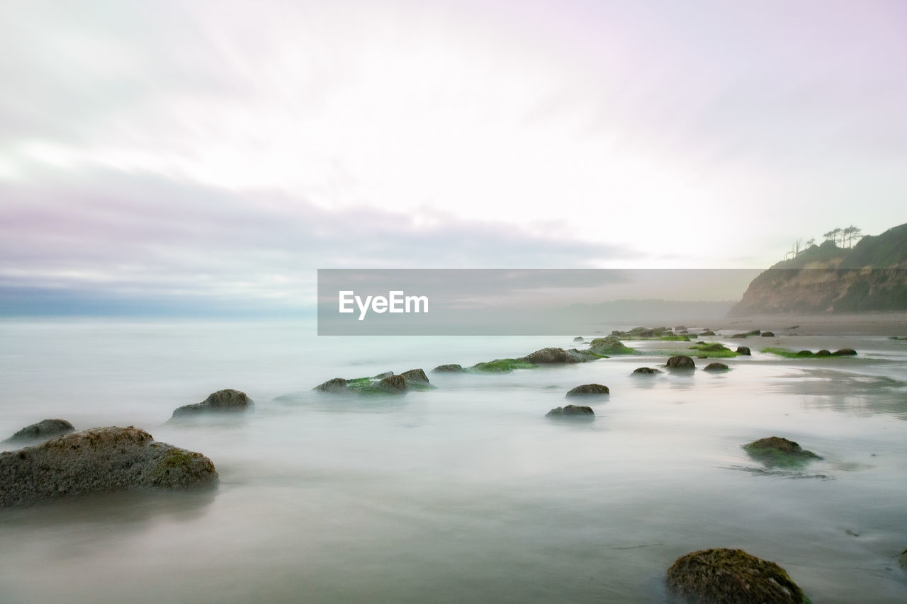 Caught by the high tide on the oregon coast
