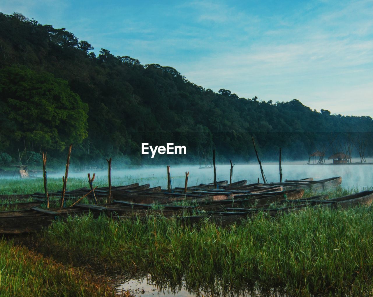SCENIC VIEW OF LAKE AND TREES