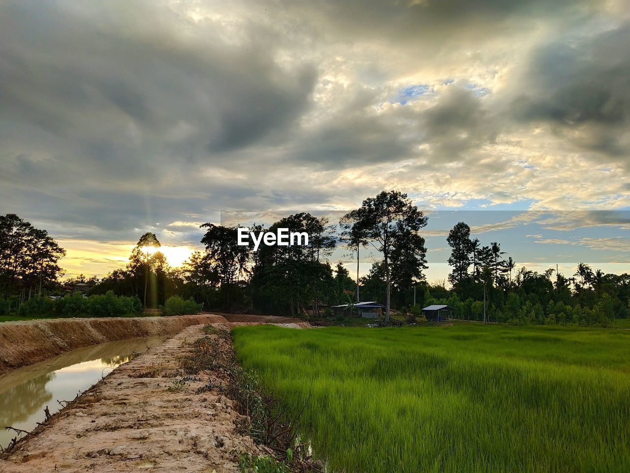 SCENIC VIEW OF FIELD DURING SUNSET