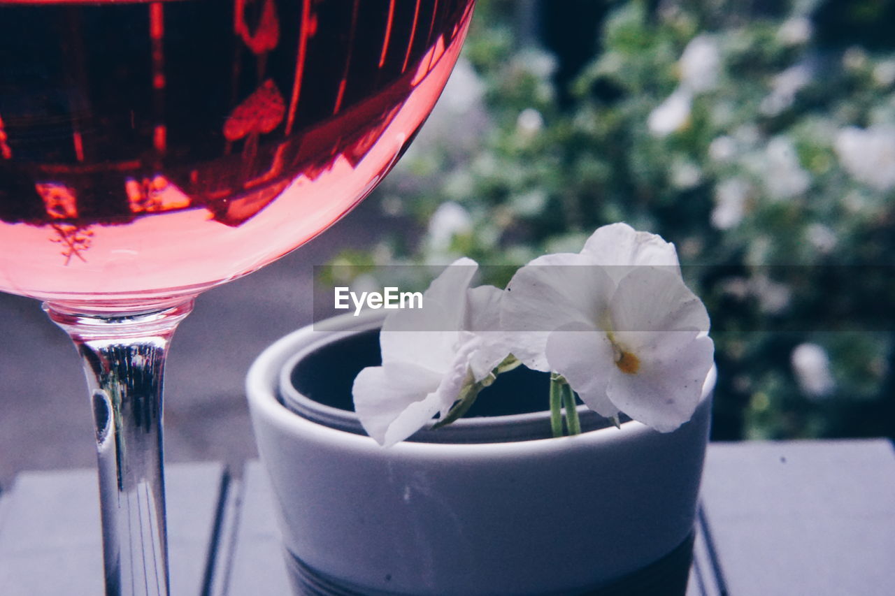 CLOSE-UP OF WINE GLASS ON TABLE AT NIGHT