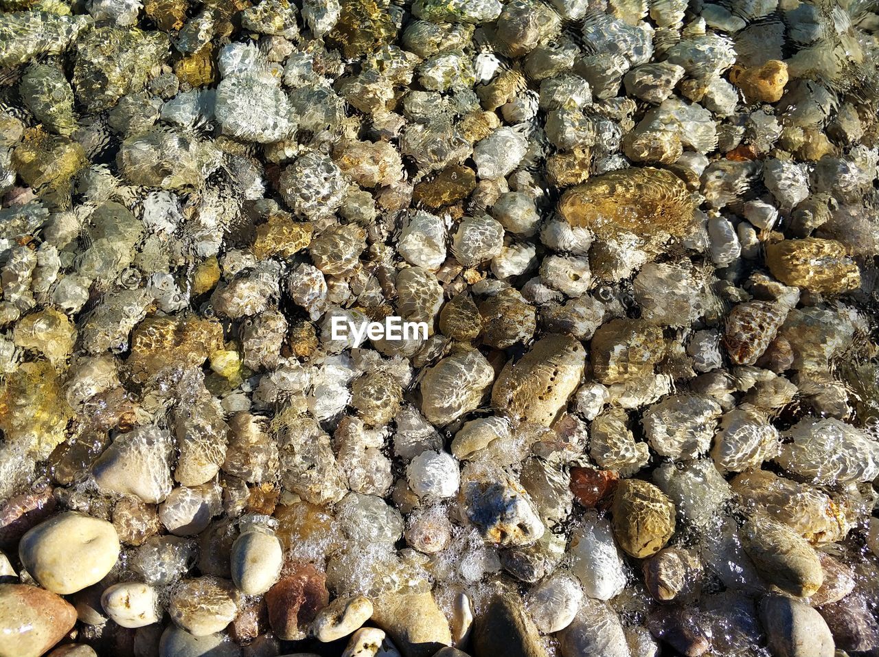 CLOSE-UP OF PEBBLES ON BEACH