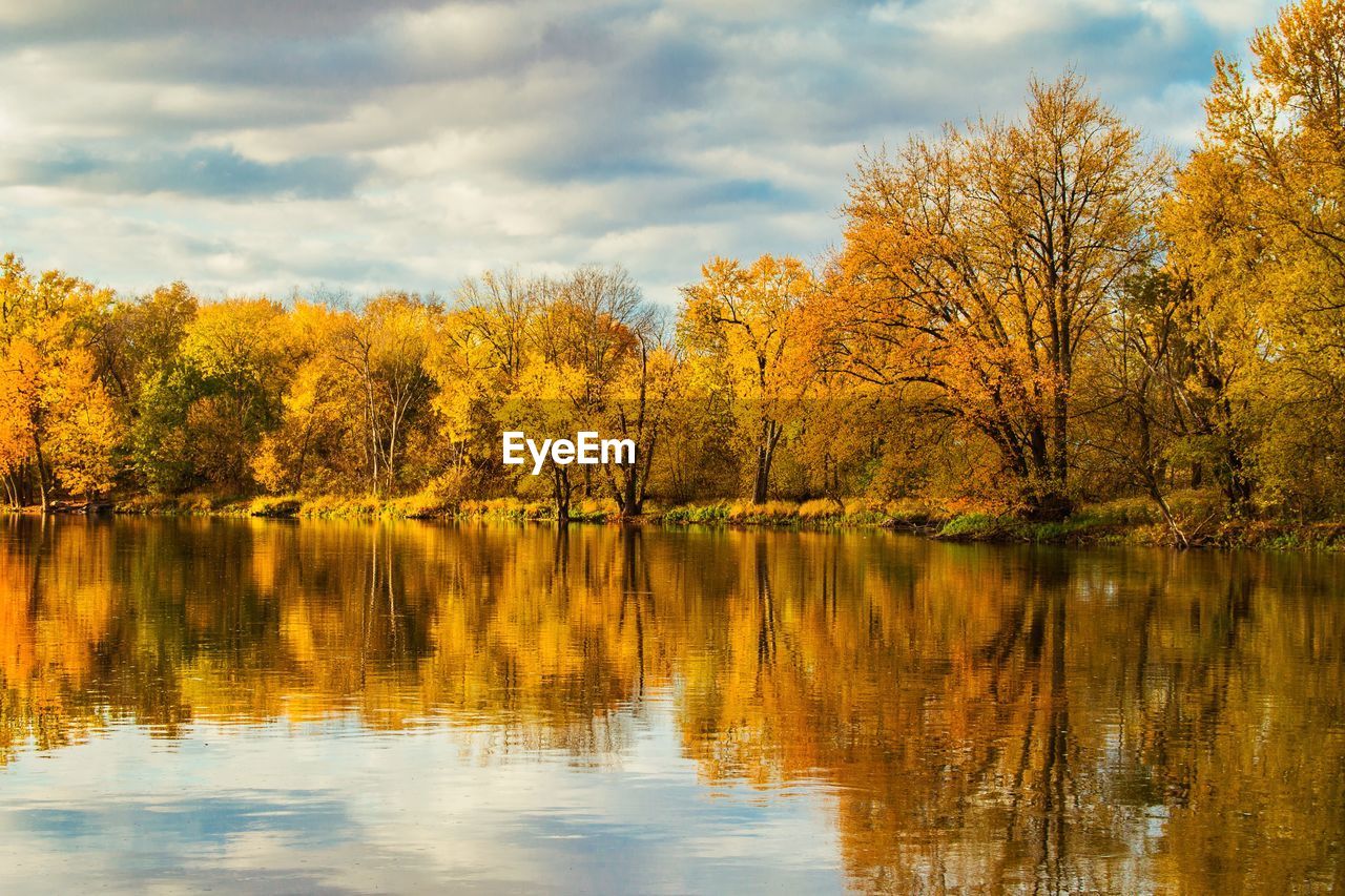 AUTUMN TREES BY LAKE AGAINST SKY