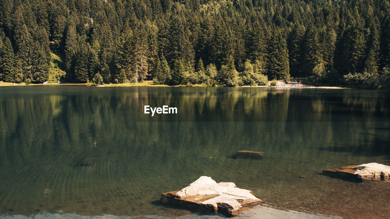 Mountain lake in trentino alto adige during summer