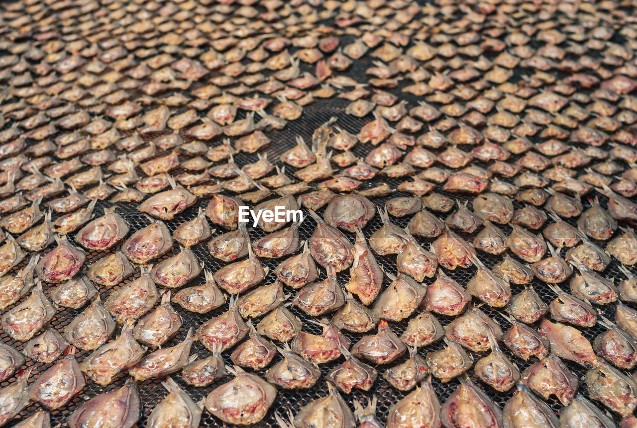 Full frame shot of dried fish