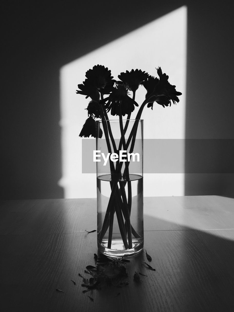 CLOSE-UP OF FLOWER VASE ON TABLE