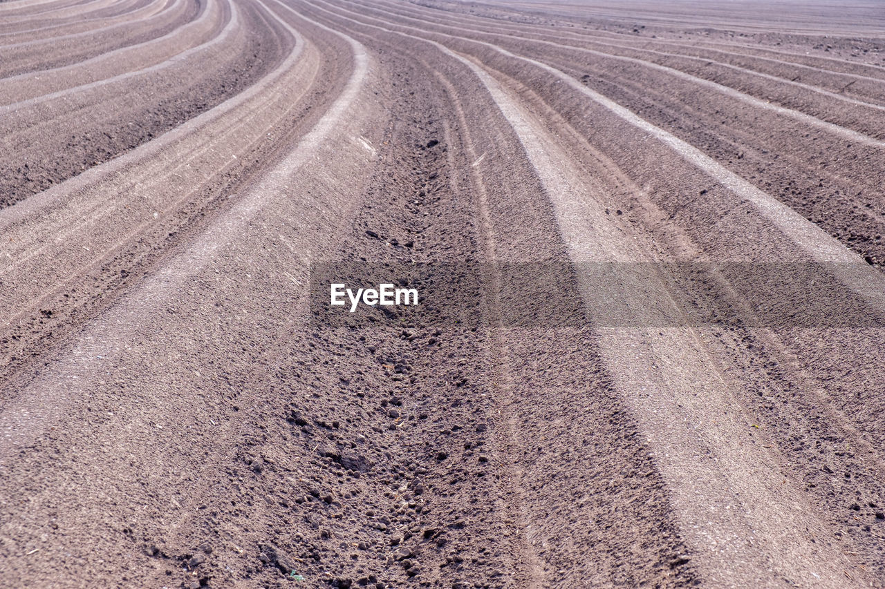 Plowed field furrows for potato cultivation