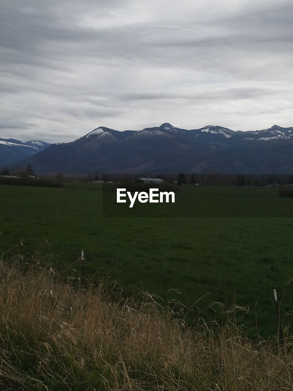 Scenic view of grassy field against cloudy sky