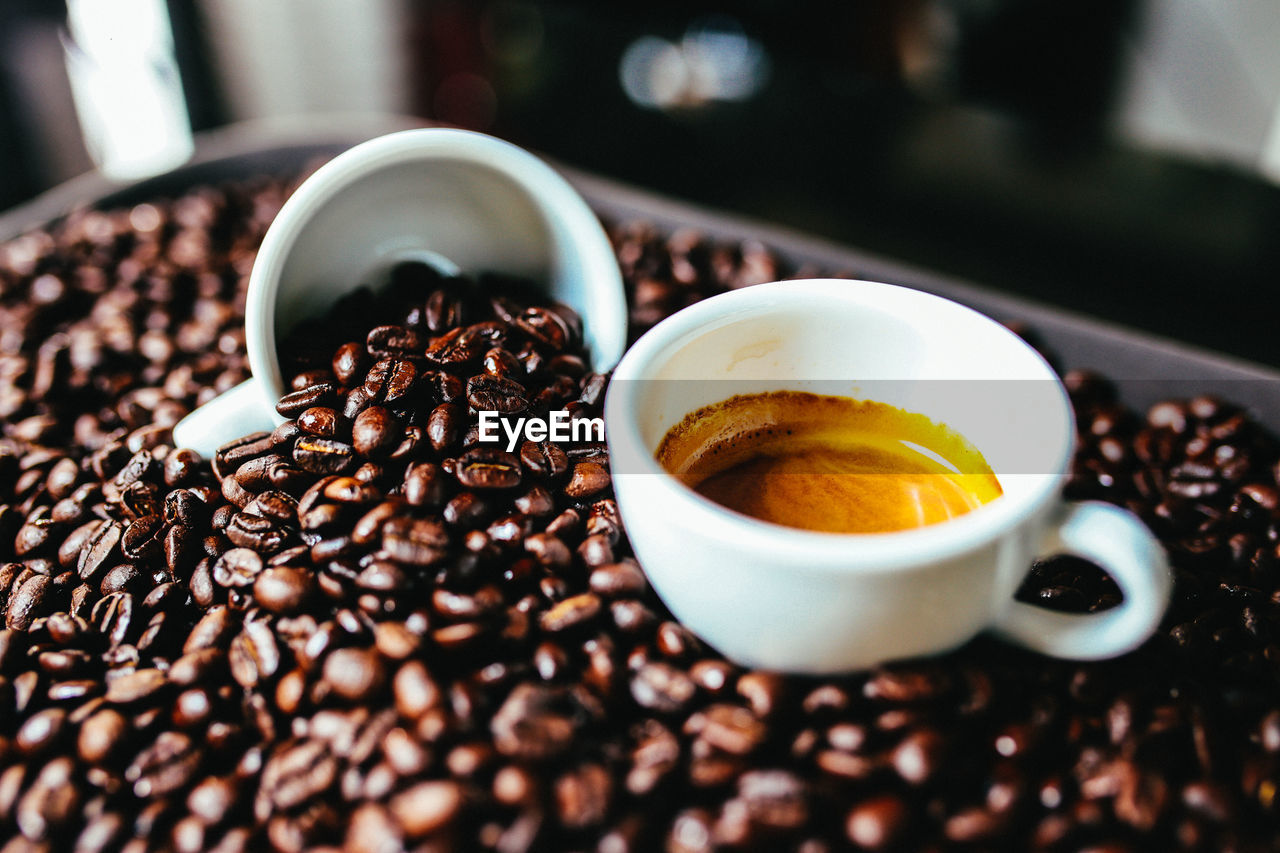 CLOSE-UP OF COFFEE BEANS IN BOWL