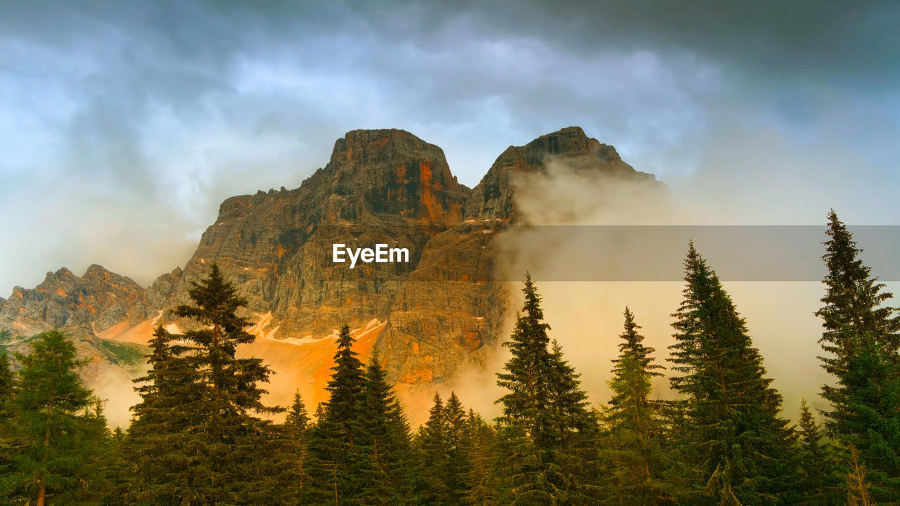 panoramic view of pine trees and mountains against sky