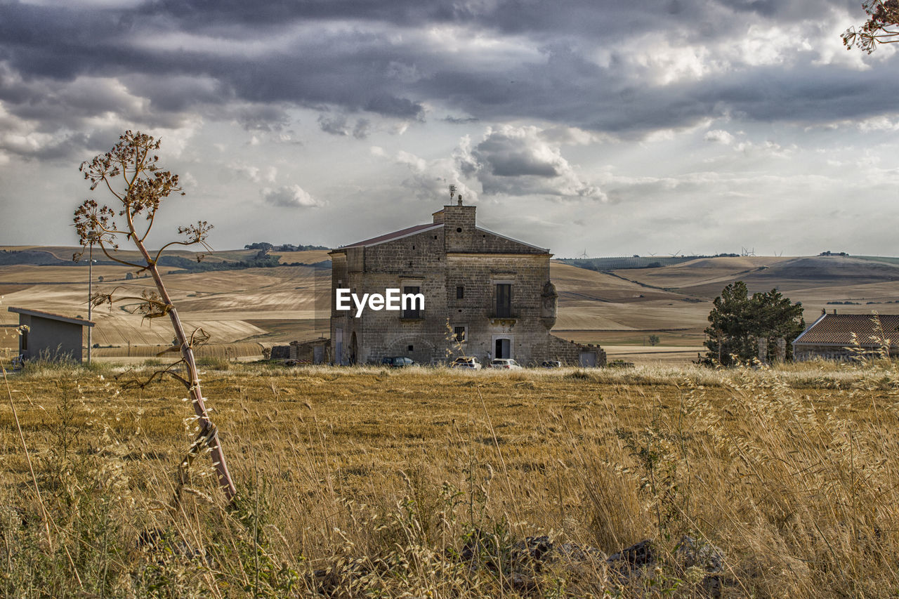 House and tipical wild fennel in apulian murgia