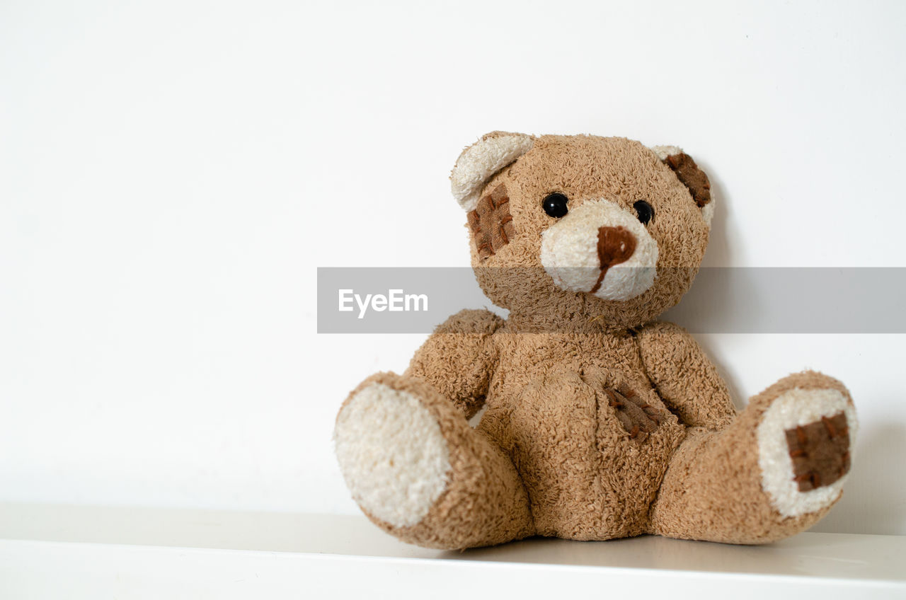 Close-up of teddy bear against white background