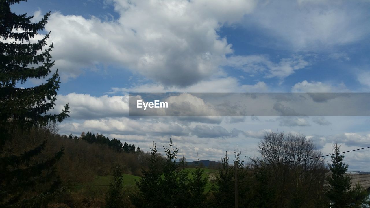 TREES ON LANDSCAPE AGAINST CLOUDY SKY