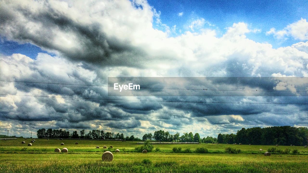 VIEW OF FIELD AGAINST CLOUDY SKY