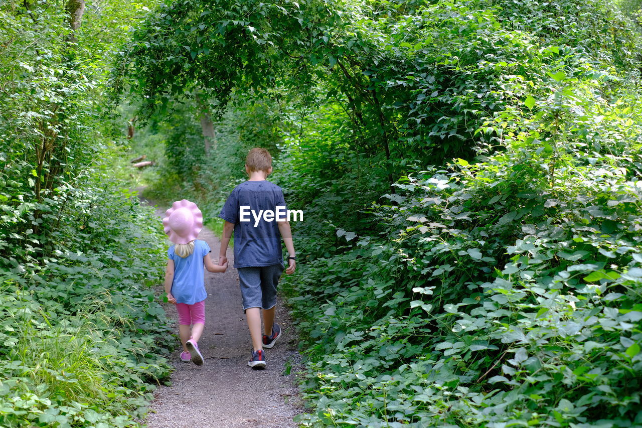 Rear view of siblings holding hands while walking on footpath