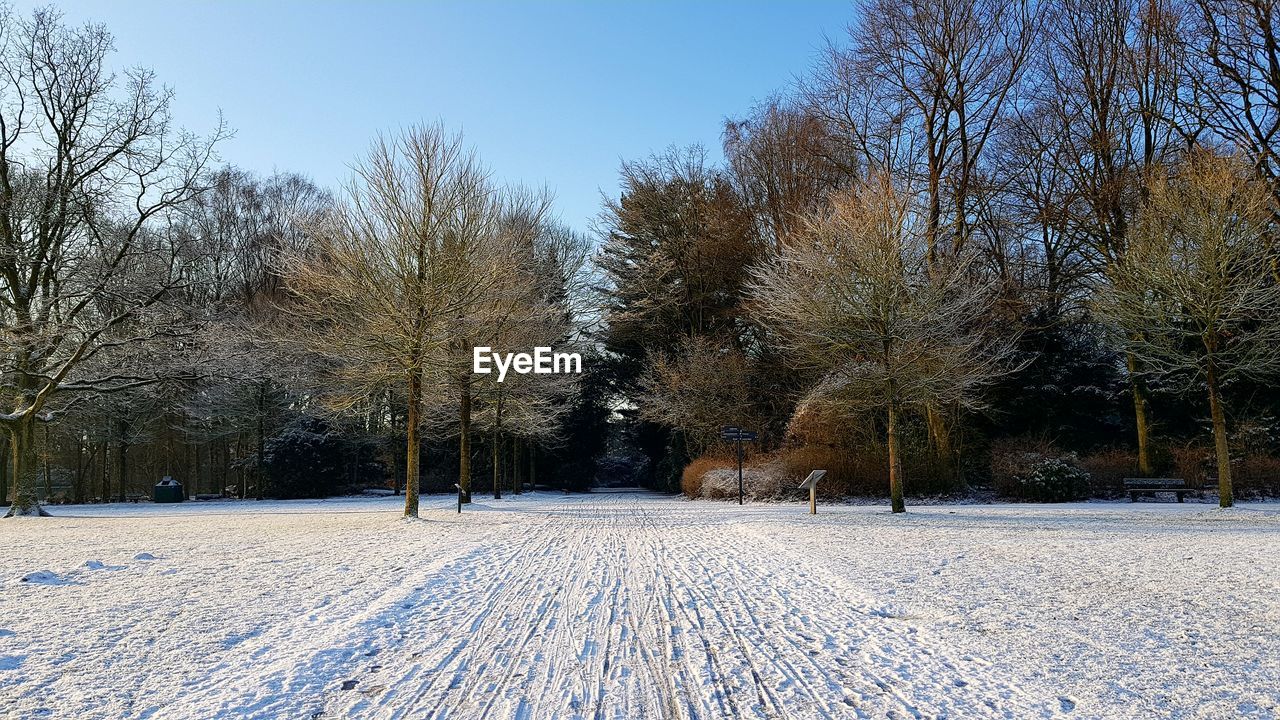 FROZEN TREES ON FIELD AGAINST CLEAR SKY