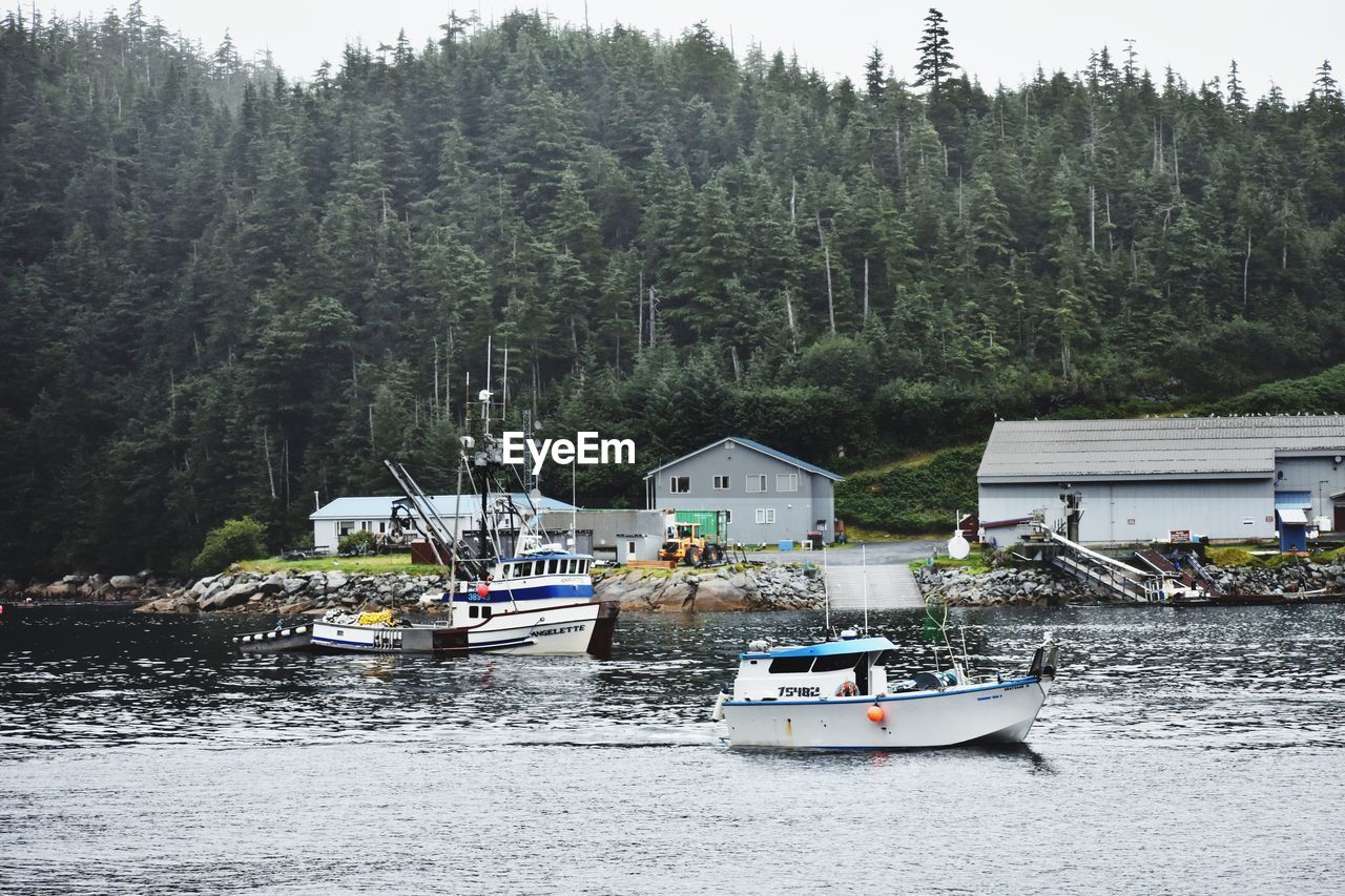 VIEW OF BOATS IN RIVER AGAINST TREES